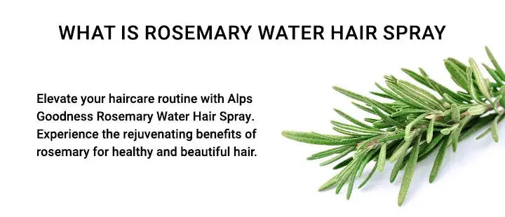 Rosemary water hair spray for regrowth (pack of 3)