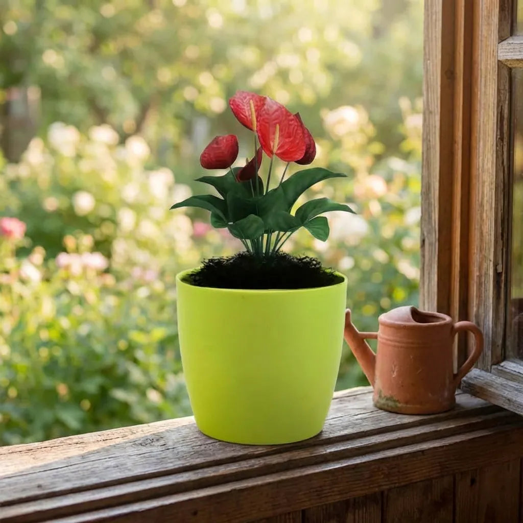 Colorful Round Flower Pots