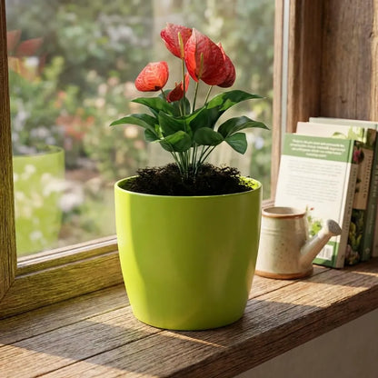 Colorful Round Flower Pots