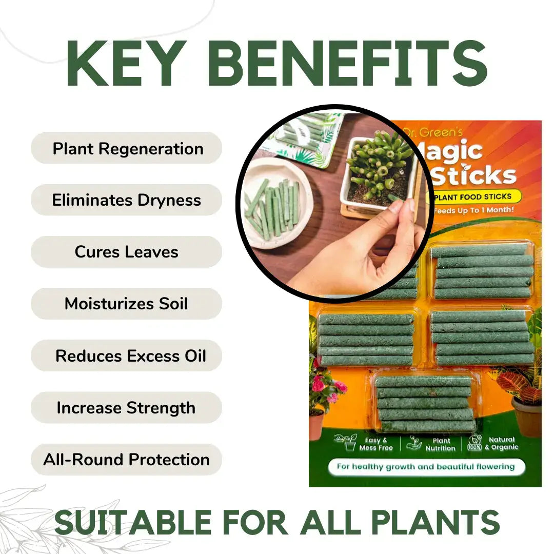 Plant grow fertilizer sticks (pack of 2)