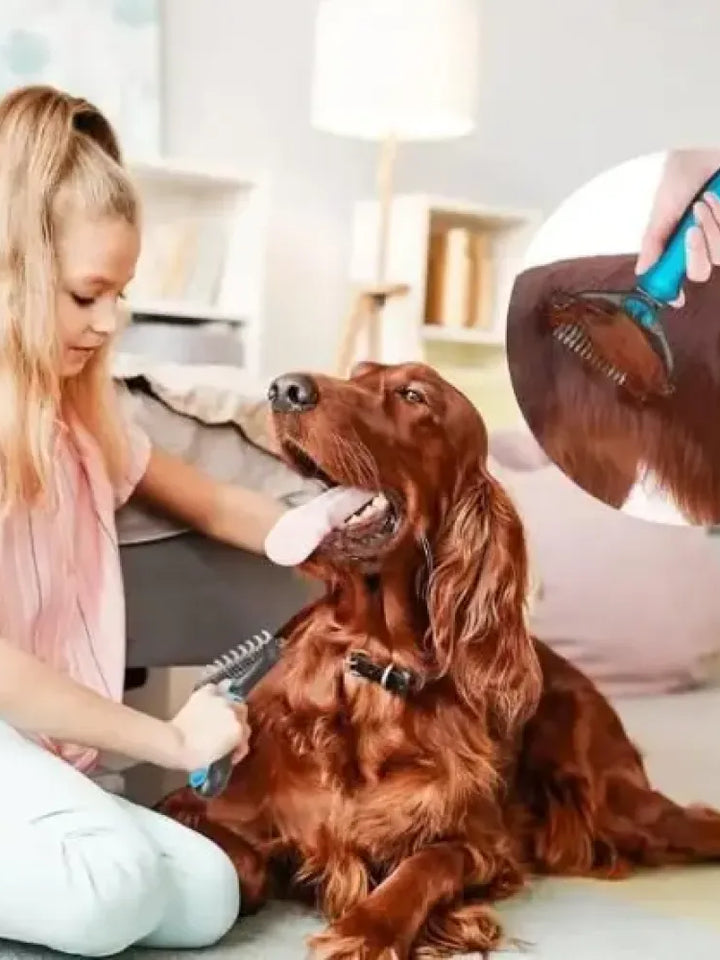 2 in 1 Pet Grooming Brush