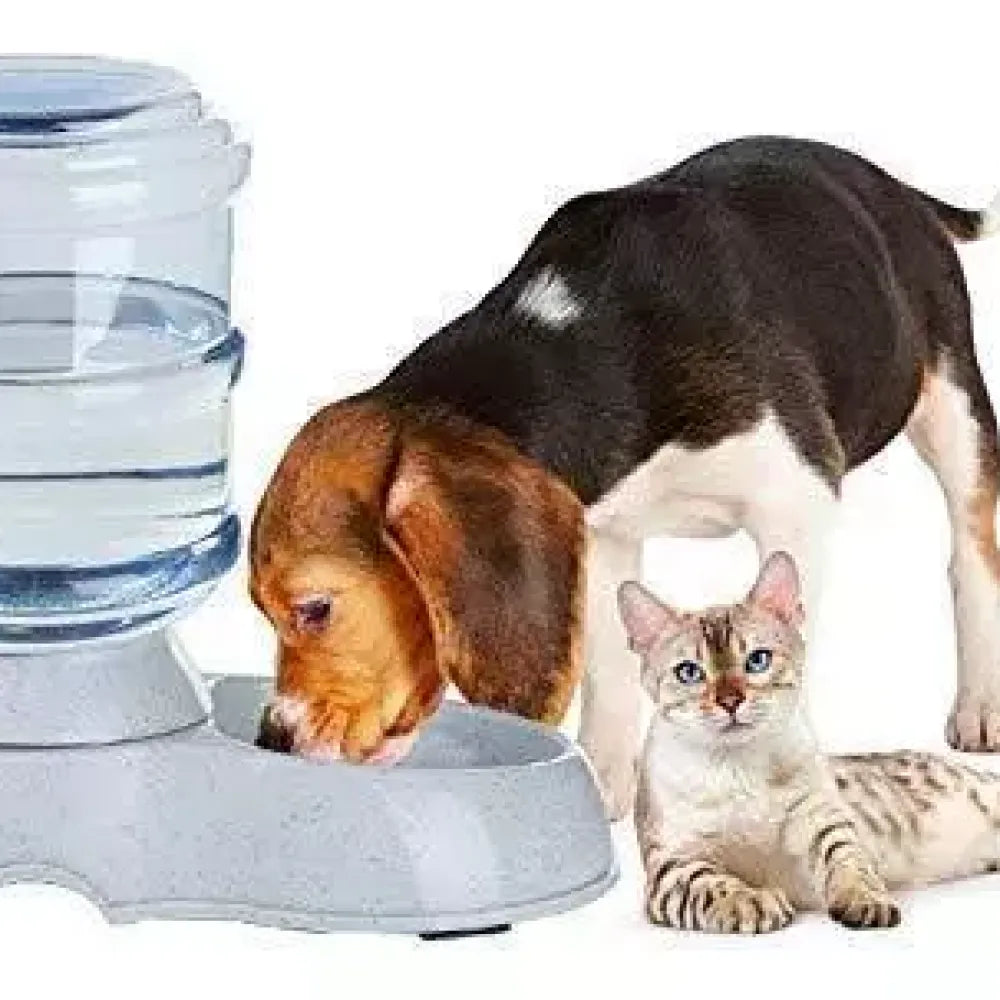 2-in-1 pet hydration system