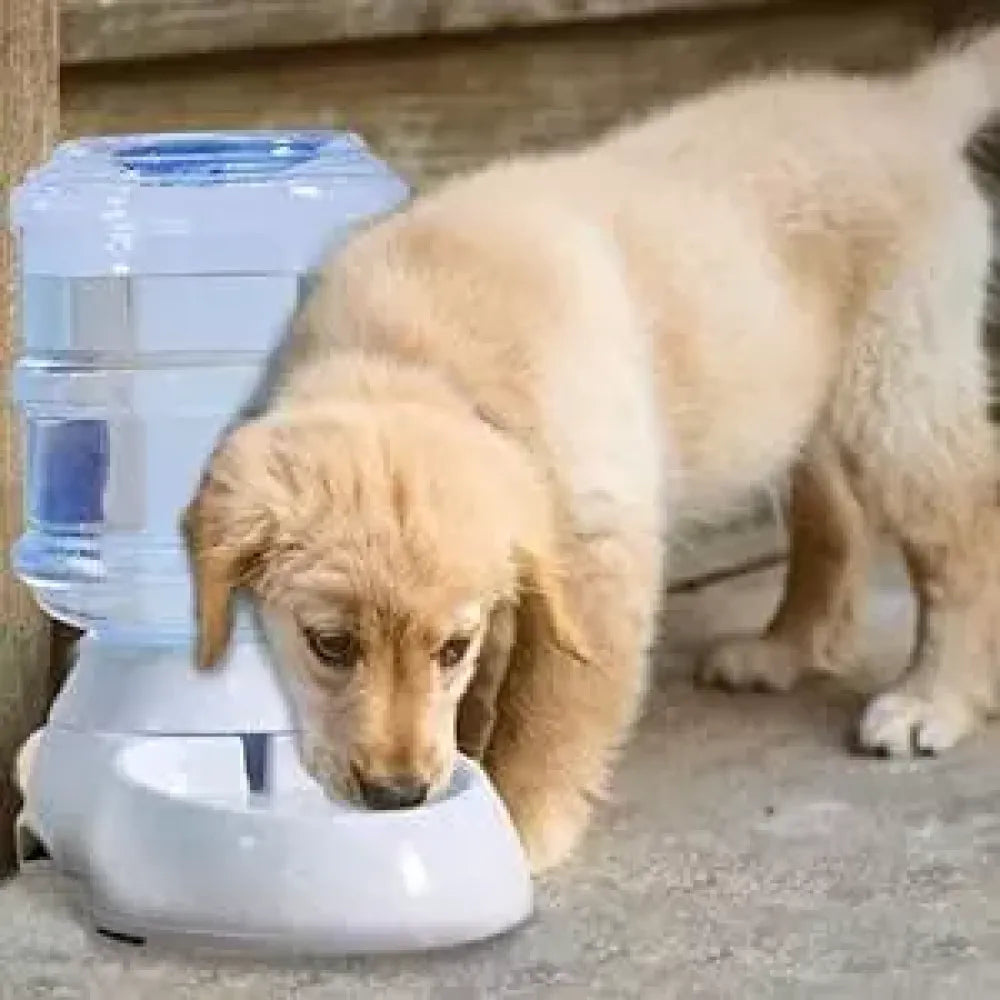 2-in-1 pet hydration system - home essentials