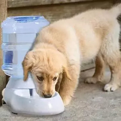 2-in-1 pet hydration system - home essentials