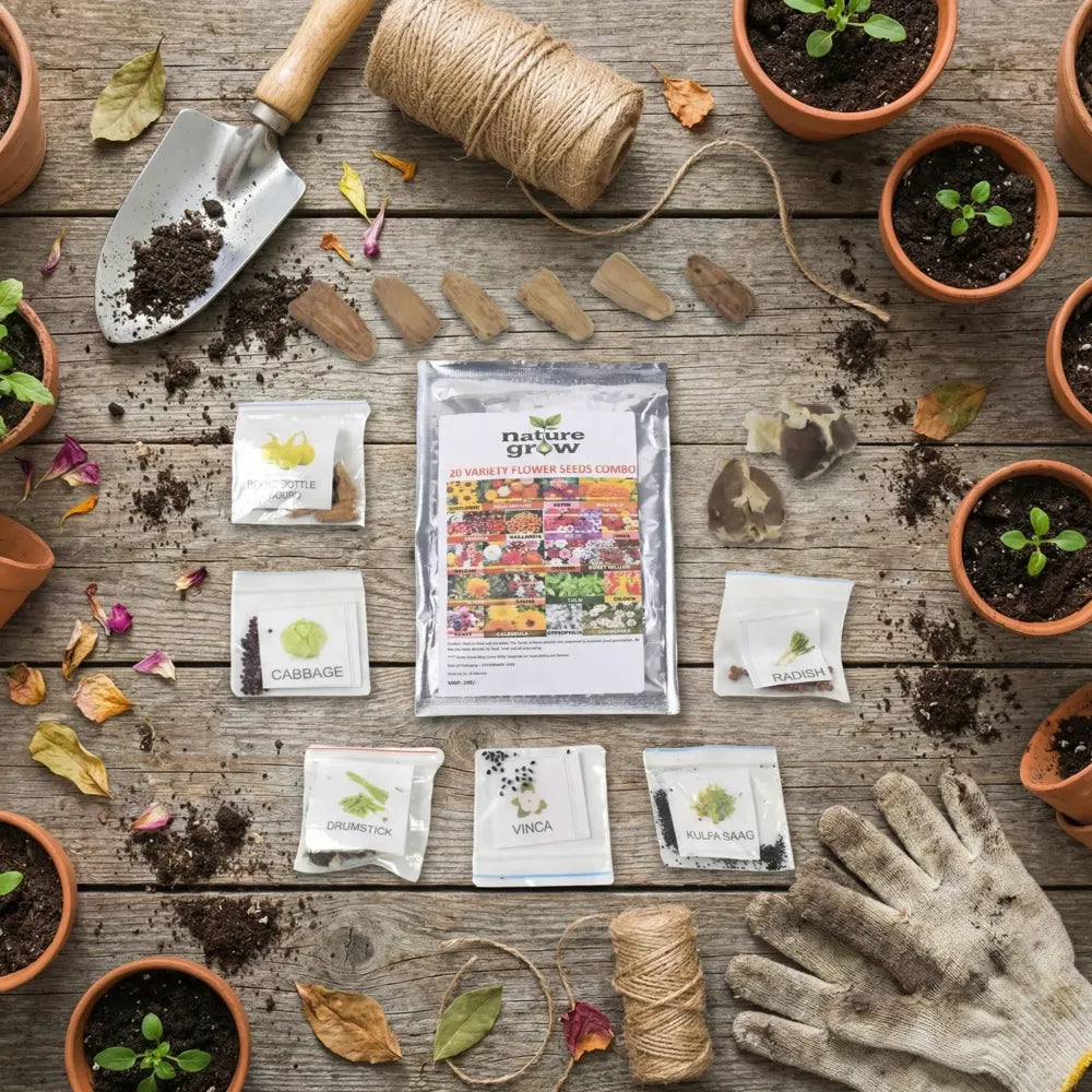 20 variety flower seeds combo - garden