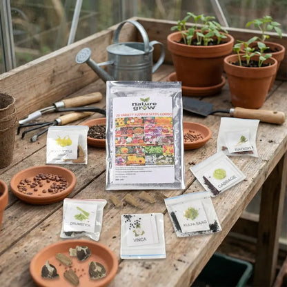 20 variety flower seeds combo - garden