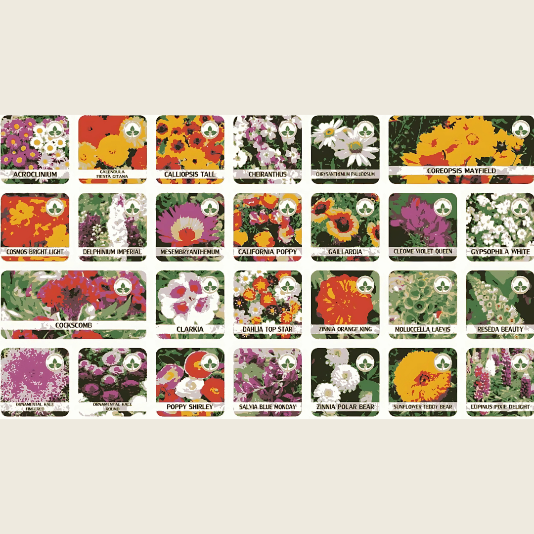 Varieties of Flower Seeds (Pack of 100)