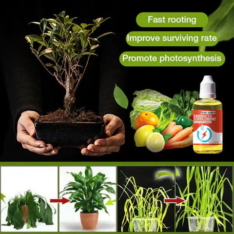 Plant growth enhancer supplement (pack of 3)