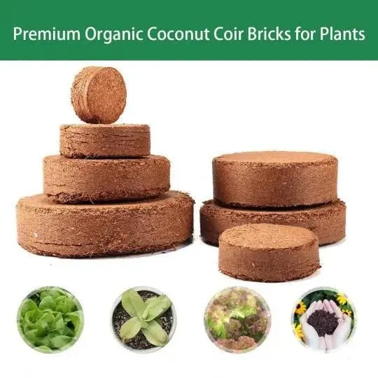 Organic coconut coir – pack of 2