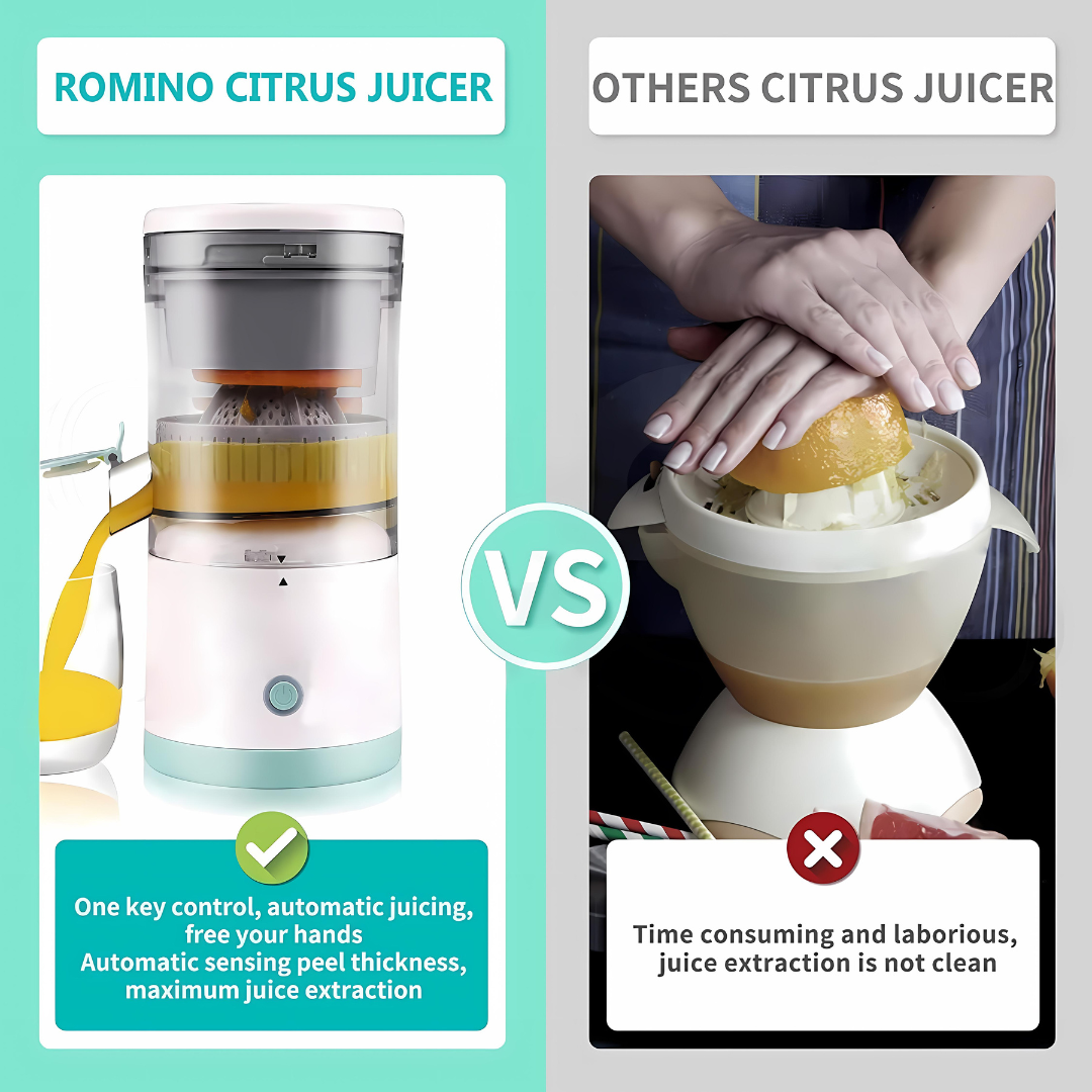 Electric Fruit Juice Blender