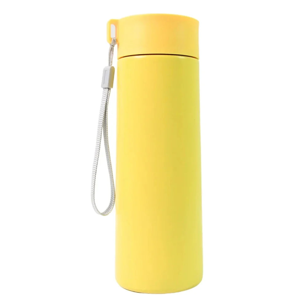 Insulated stainless steel bottle