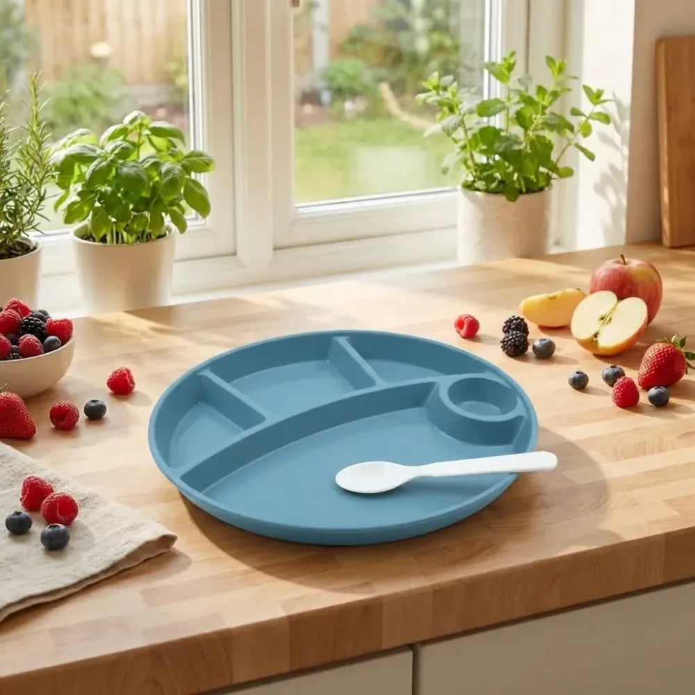5 compartment eco plate - home & kitchen