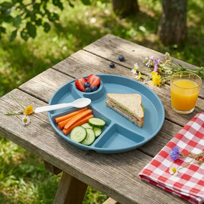 5 compartment eco plate - home & kitchen