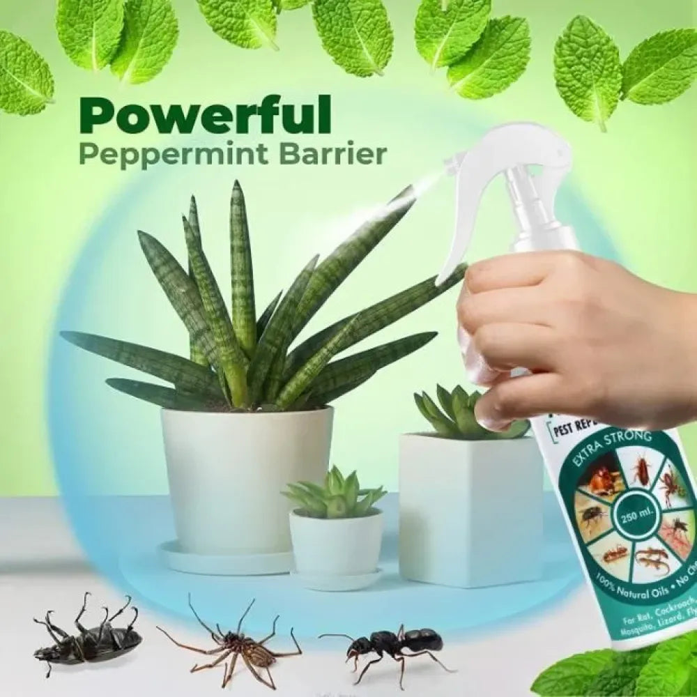 5-in-1 repellent spray