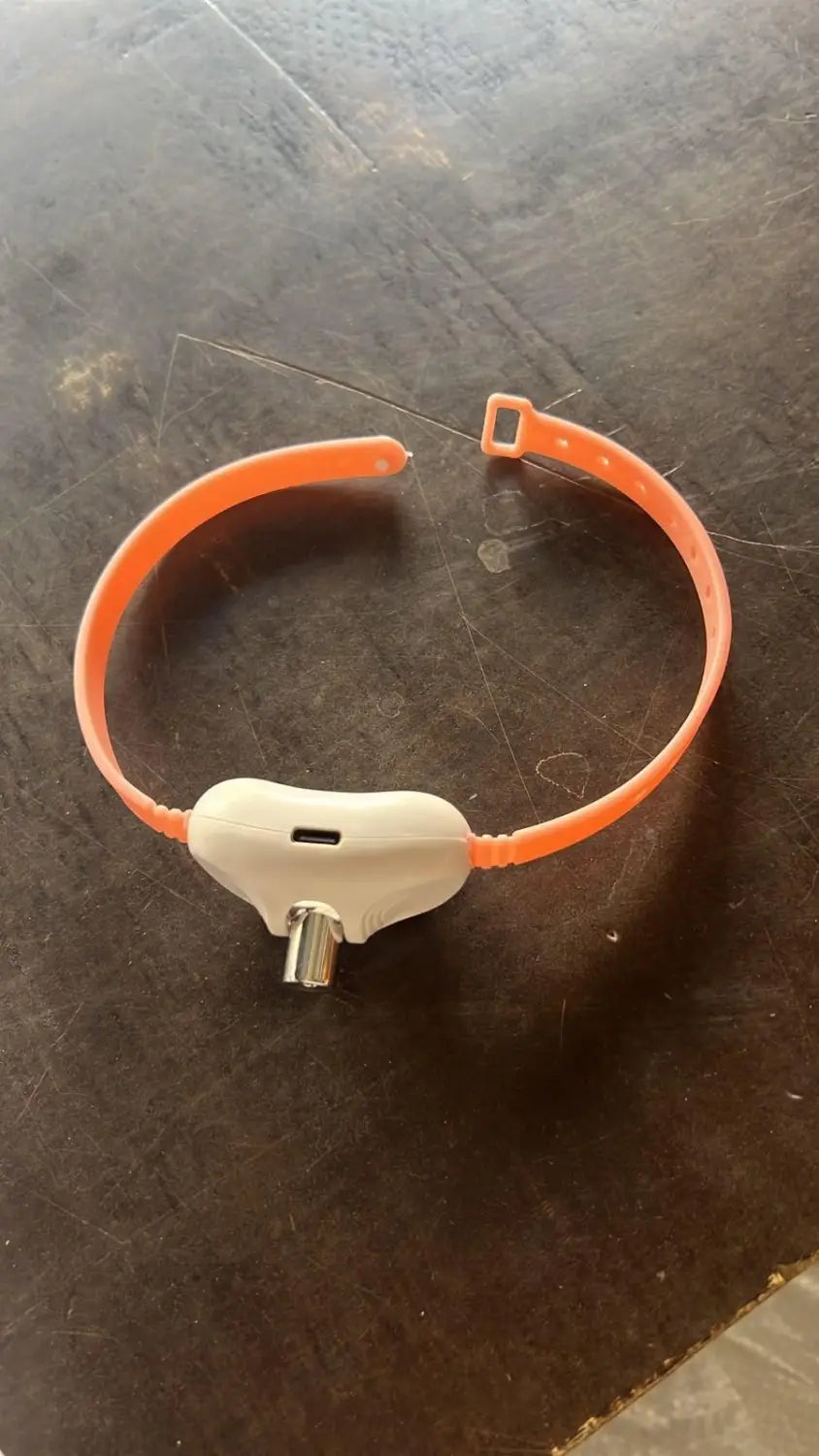 Pet laser collar self teasing toy