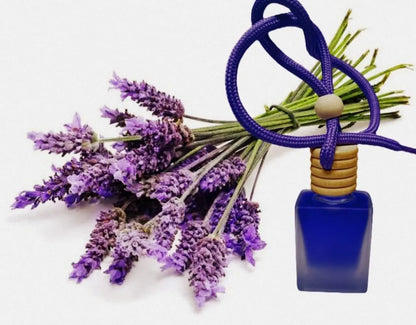 Hanging Car Perfume Pods Diffuser