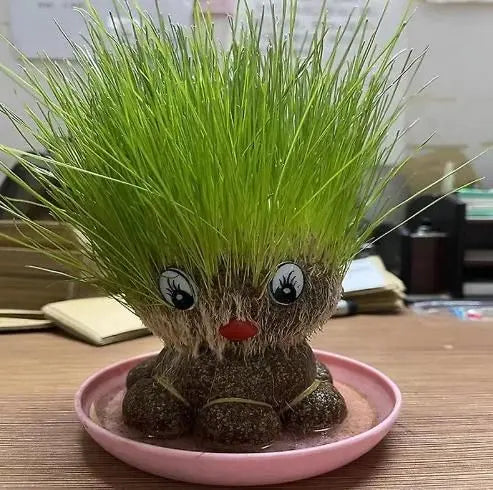 Octopus grass doll grow pot – pack of 1