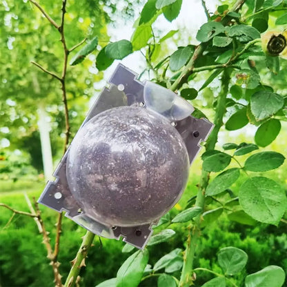 Rooting Balls Pot Mix Combo – 5 Pcs