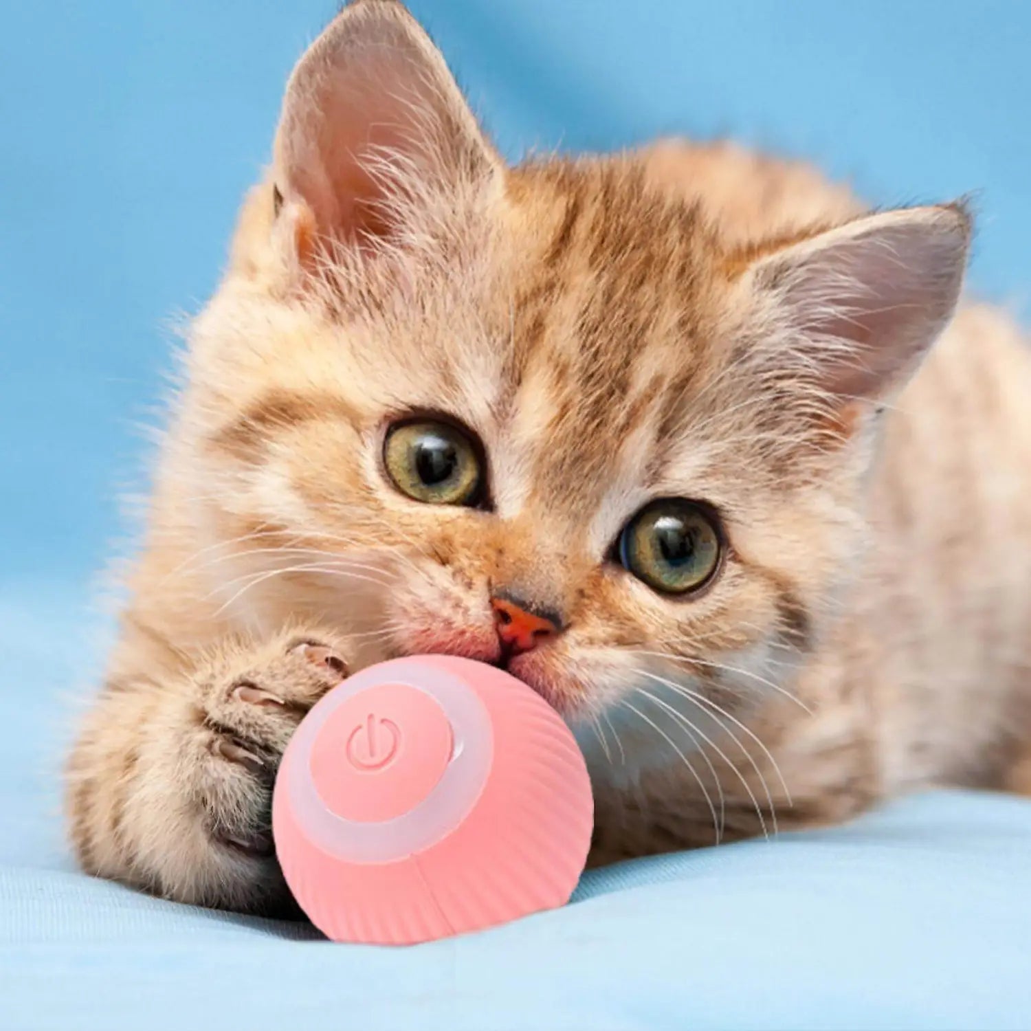 Smart led cat toy ball