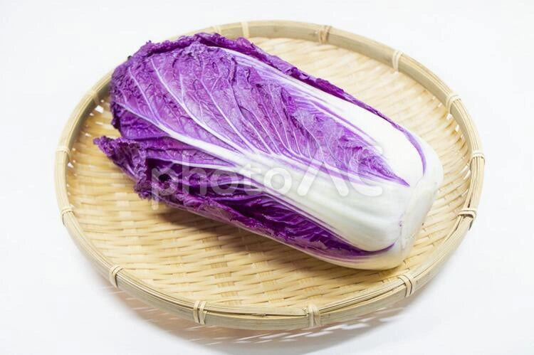 Purple cabbage seeds