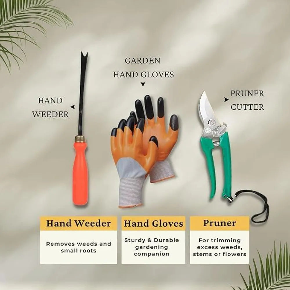 6 in 1 garden tools with box