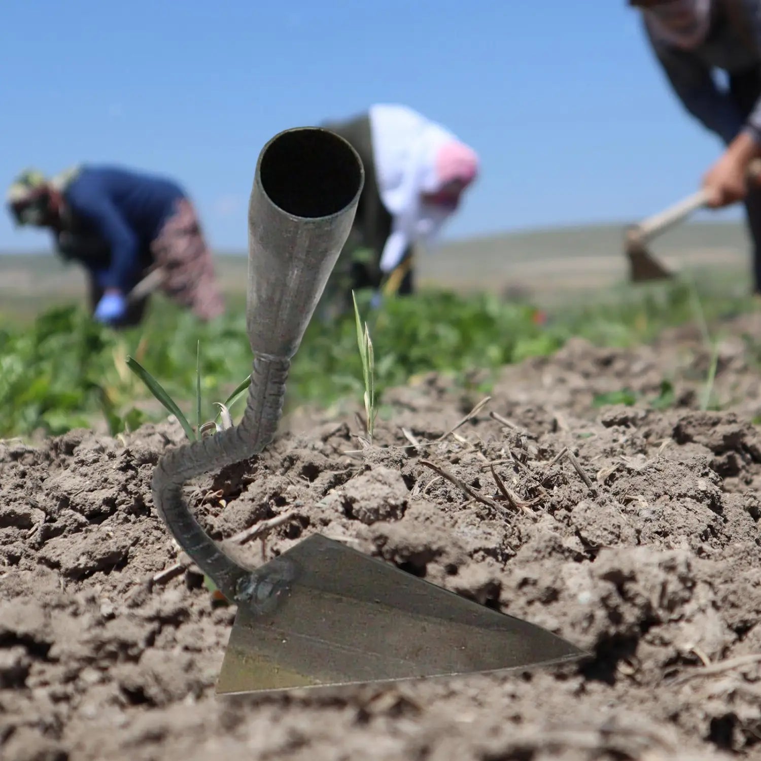 Weed remover & soil loosening tool