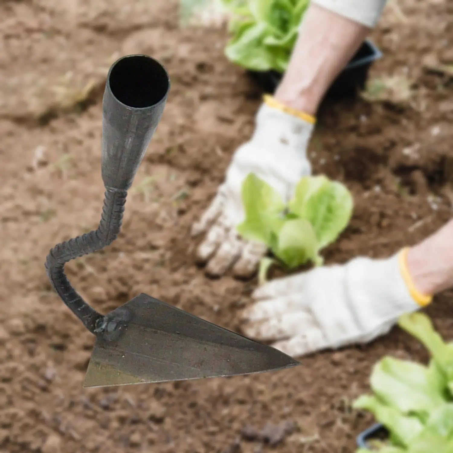 Weed remover & soil loosening tool
