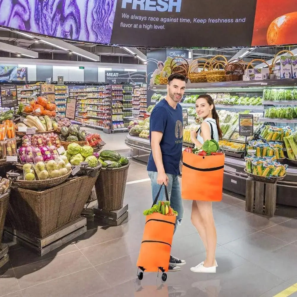 Foldable light weight polyester shopping trolley bag for vegetables grocery travel dual wheel waterproof (multicolor)