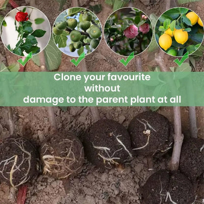 Rooting Balls Pot Mix Combo – 5 Pcs