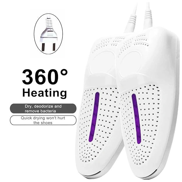 Portable shoe dryer