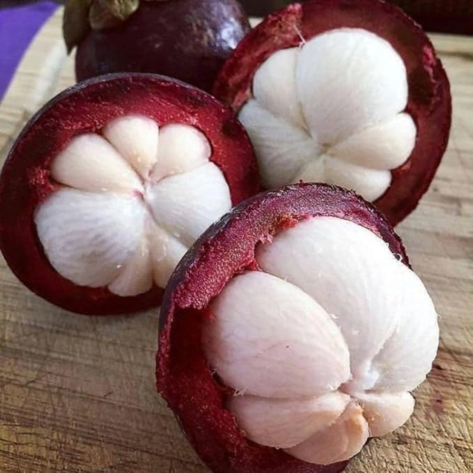 Mangosteen fruit seeds – pack of 1