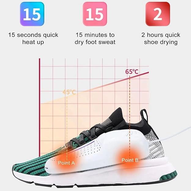 Portable shoe dryer