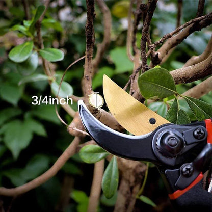 Professional bypass pruners - garden