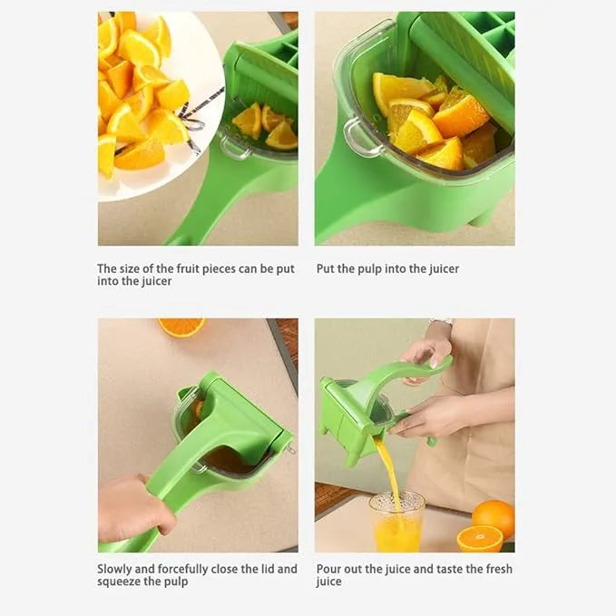 Heavy duty citrus juicer