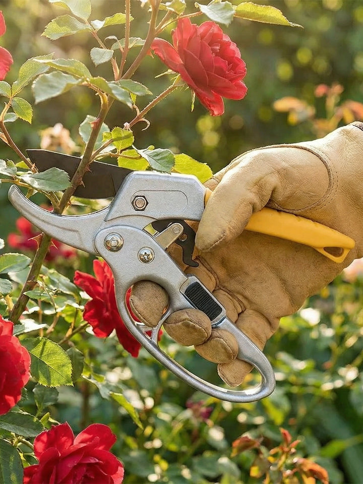 Effortless Ratcheting Pruning Shears