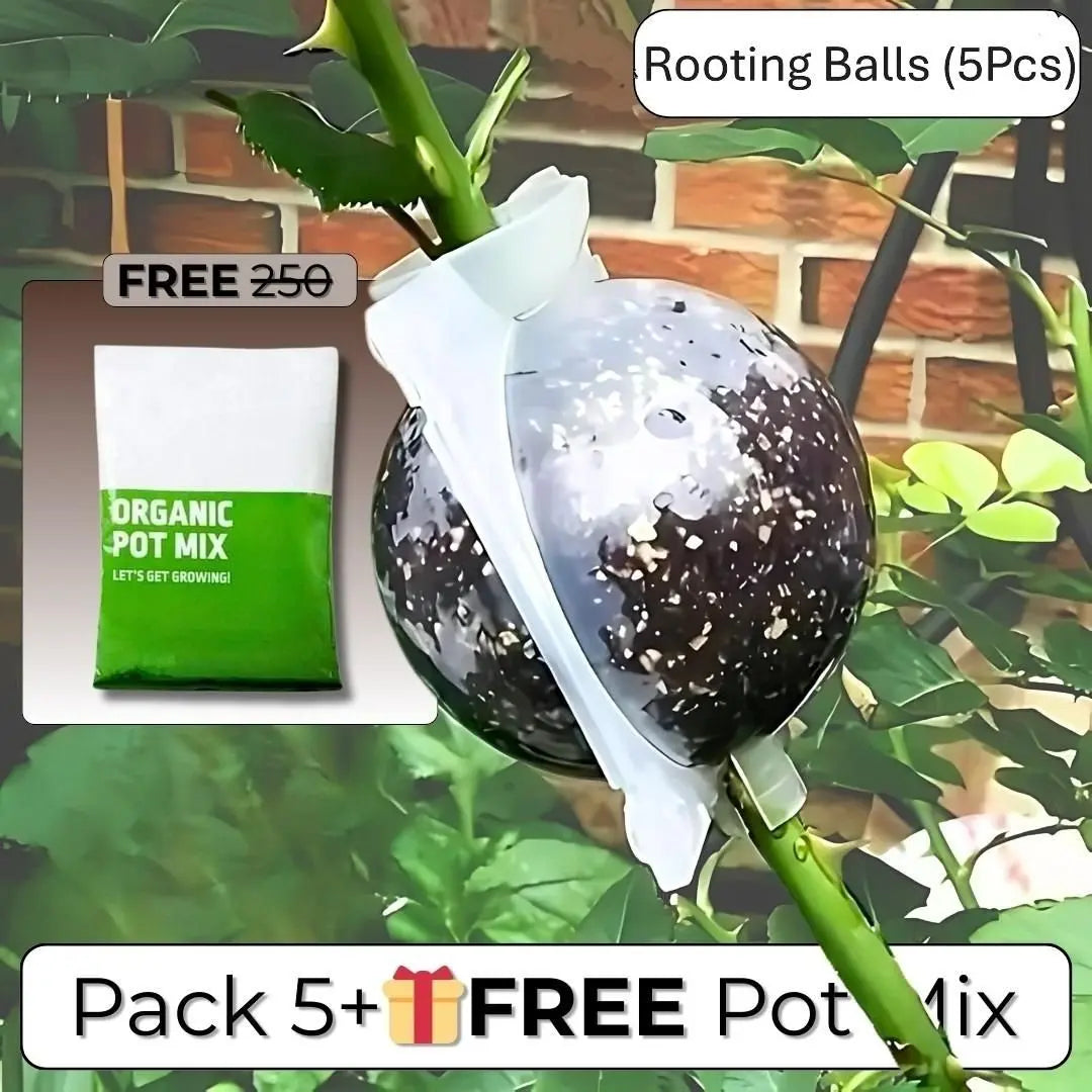 Rooting balls pot mix combo – 5 pcs