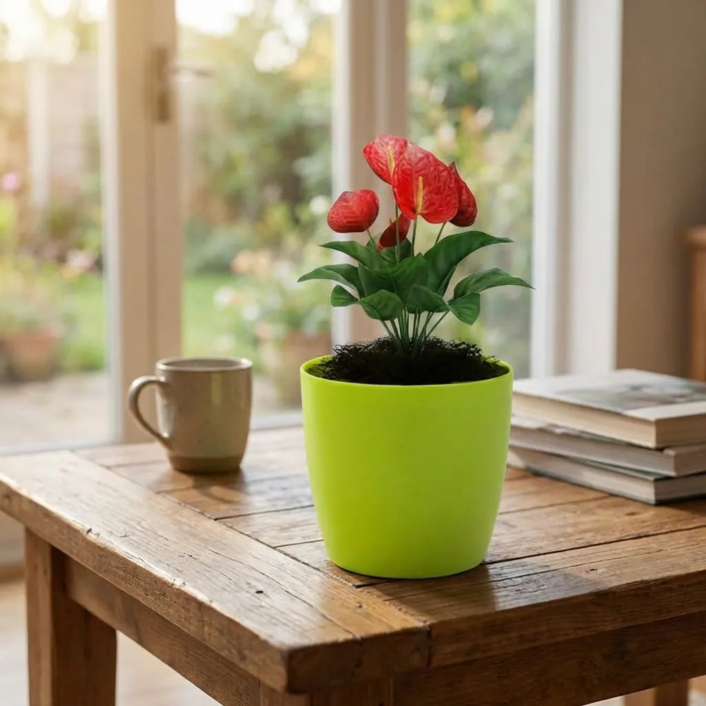 Colorful Round Flower Pots