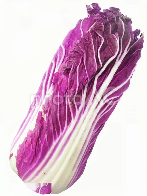 Purple cabbage seeds