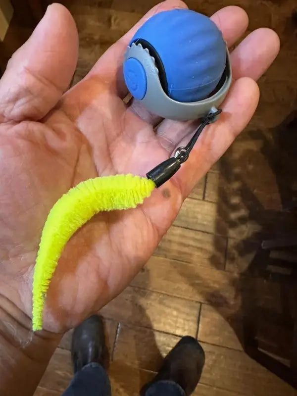 Rolling ball cat toy