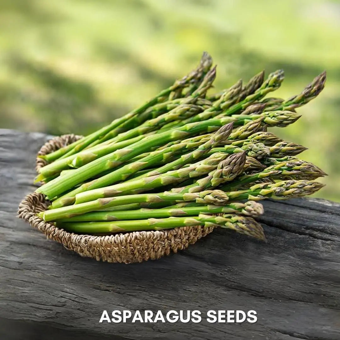 Organic asparagus seeds