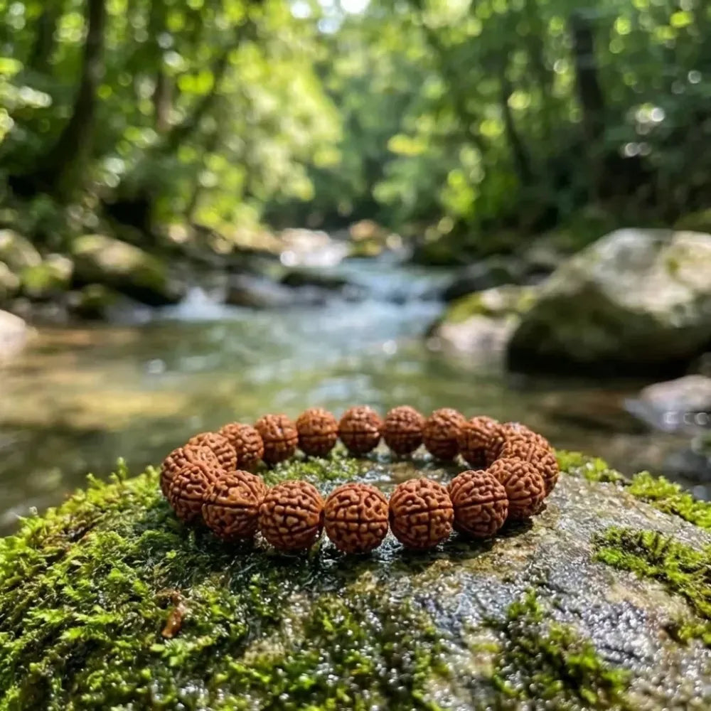 7 mukhi rudraksha bracelet – 1 pc
