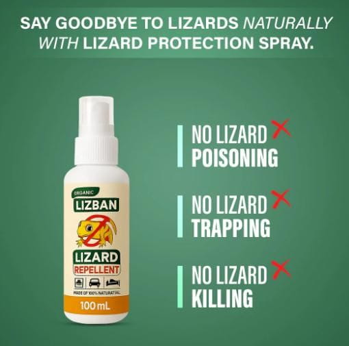 Lizard repellent spray 100ml (pack of 2)