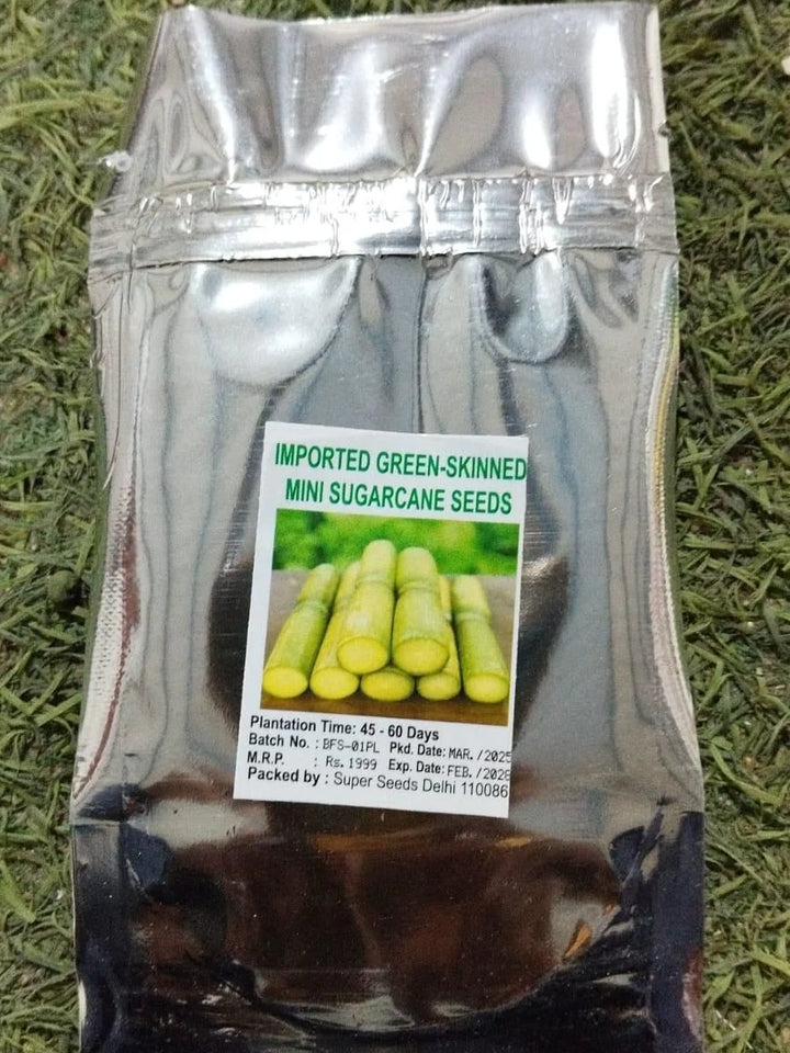 Green-Skinned Mini Sugarcane Seeds