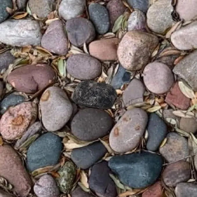 Fake rock key hider