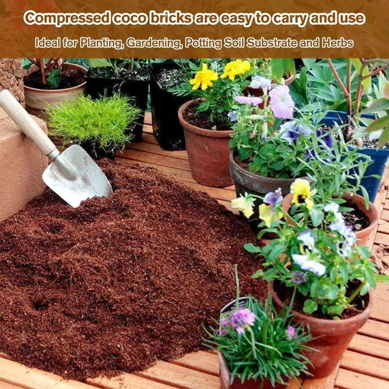Organic coconut coir – pack of 2