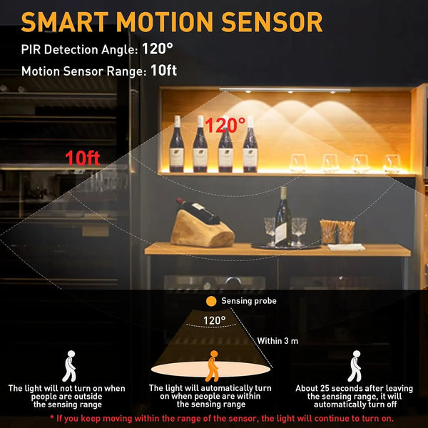 Rechargeable motion sensor light