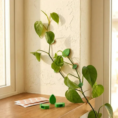7348 plant climbing wall fixture clip self-adhesive hook vines traction invisible stand green garden support binding