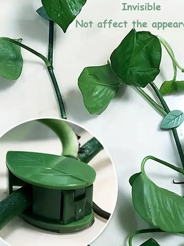 7348 Plant Climbing Wall Fixture Clip Self-adhesive Hook Vines Traction Invisible Stand Green Plant Clip Garden Wall Clip Plant Support Binding Clip Plants For Indoor Outdoor Decoration (10 Pcs Set)