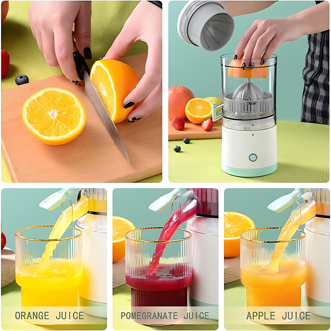 Electric Fruit Juice Blender