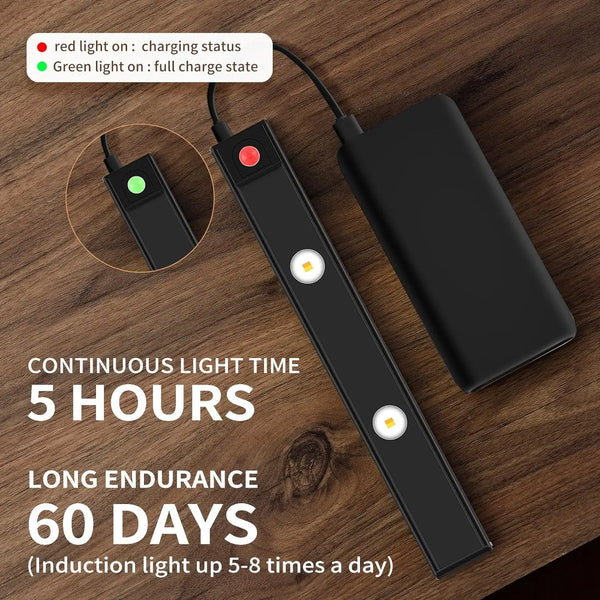Rechargeable motion sensor light